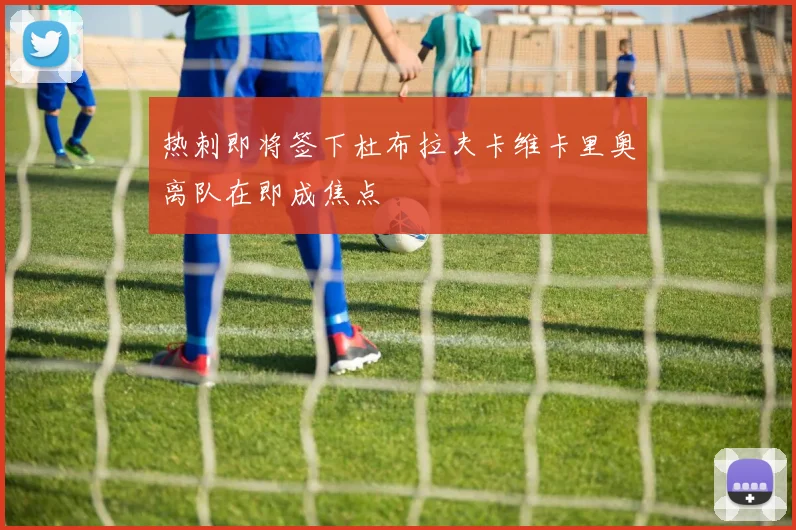 热刺即将签下杜布拉夫卡维卡里奥离队在即成焦点